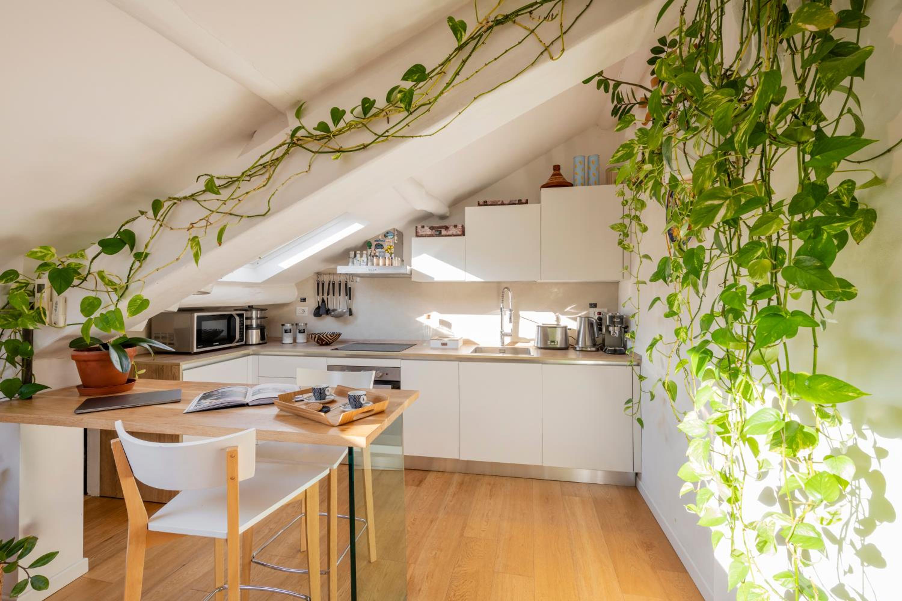 Bright mini studio in the heart of Milan