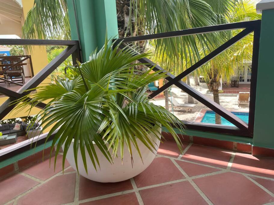 Villa Olivia Top Floor
