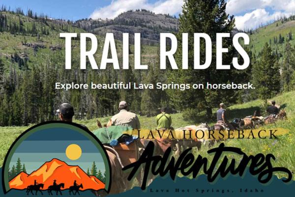 Photo 50