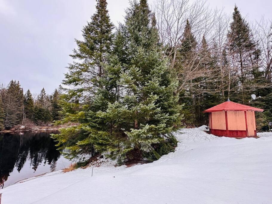 Private Riverfront Cottage in Muskoka - The MARA