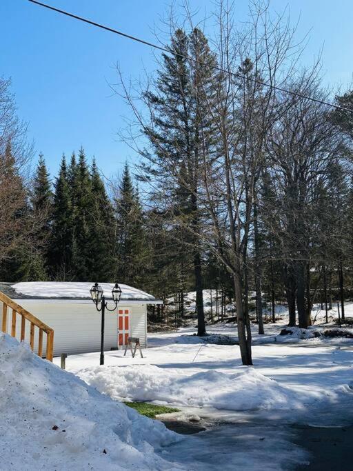 Private Riverfront Cottage in Muskoka - The MARA