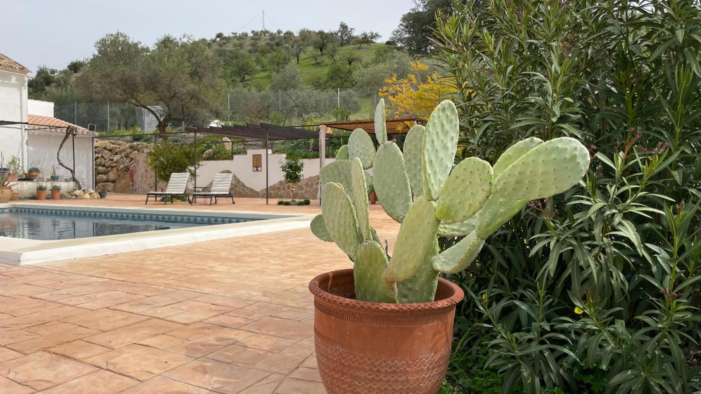 Finca Valle Verde photo 2