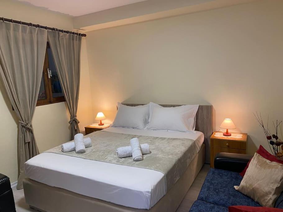 Dani Two Bedroom Home in Center of Tirana