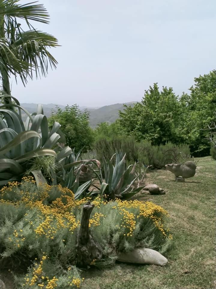 Agriturismo Bellavista