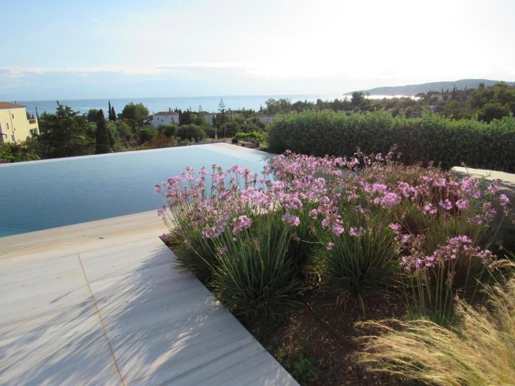 Villa Ola Kala - Private pool - Walking distance to beach view 5