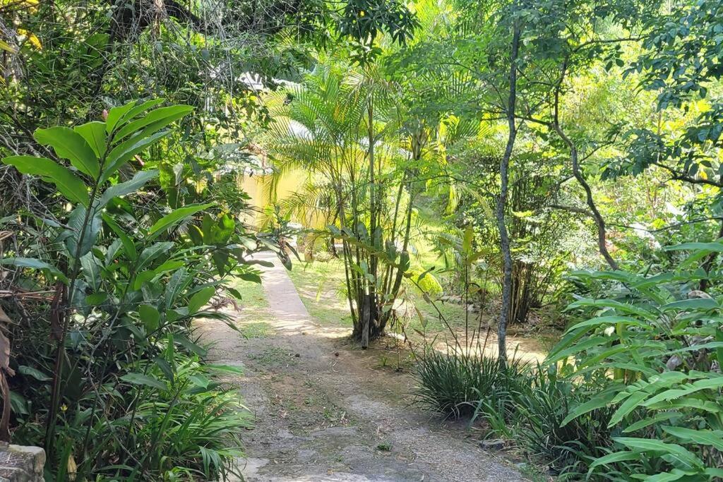 The African Lily view 5