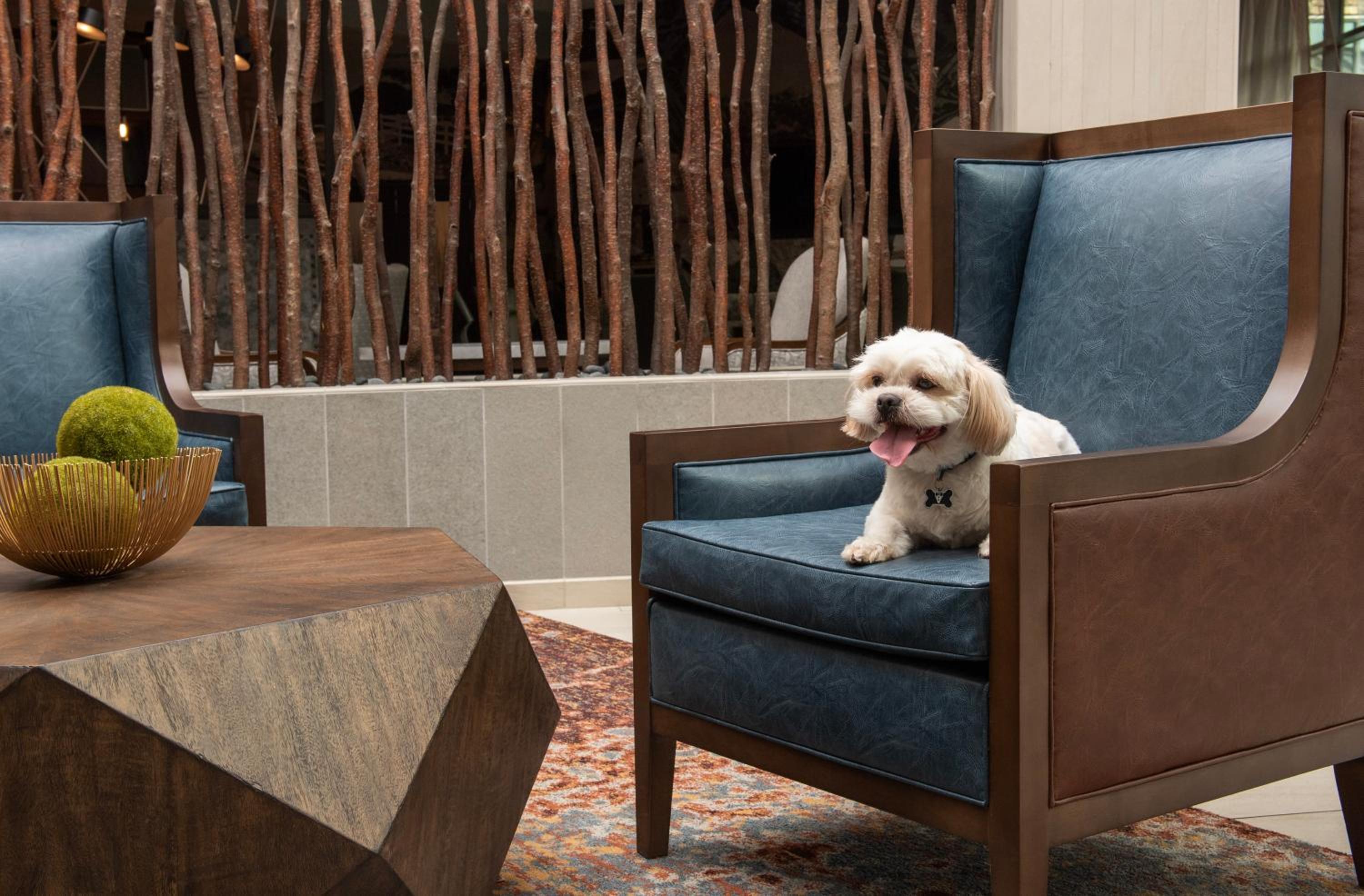 Springfield Vacations - Embassy Suites Springfield - Property Image 36