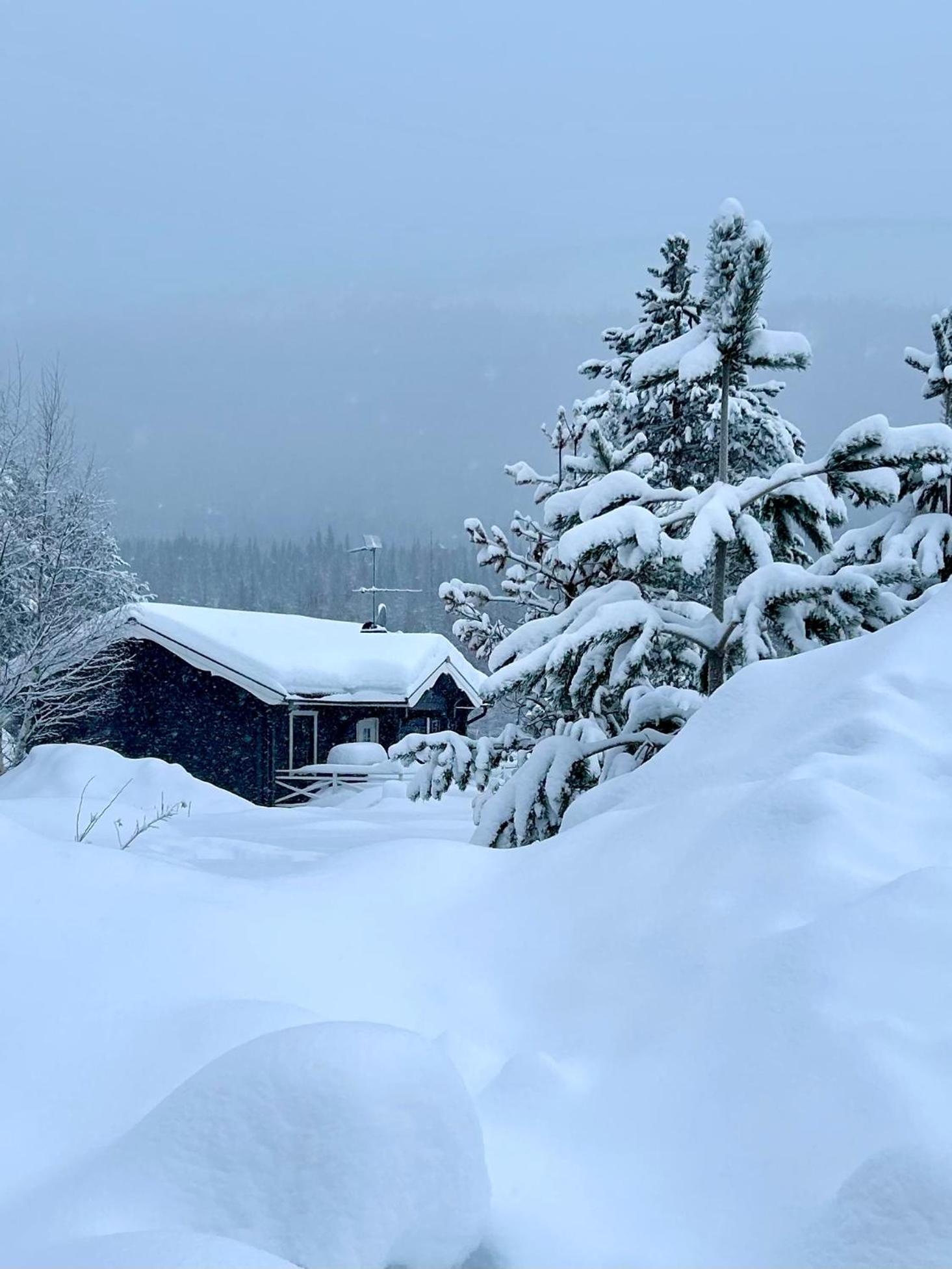 Nymon Mountain Lodge view 5