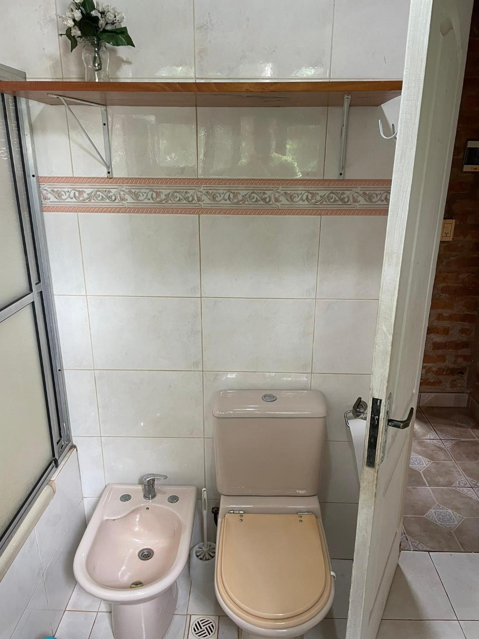 ¡Tucanes iguazu!