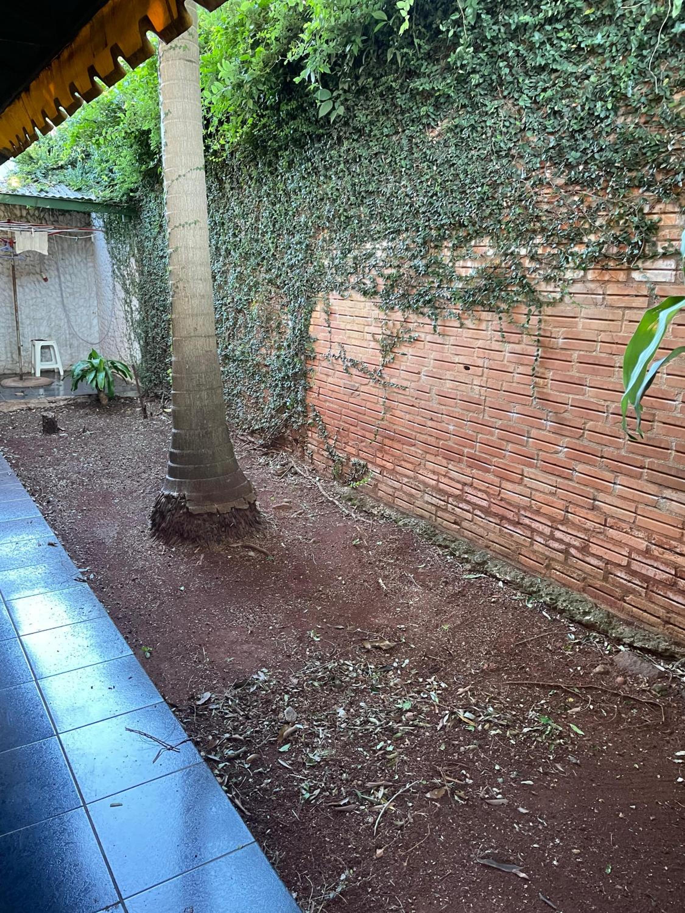 ¡Tucanes iguazu!