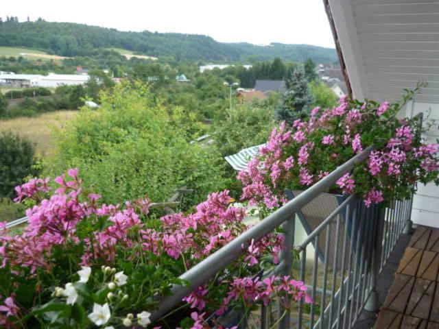 Photo 45