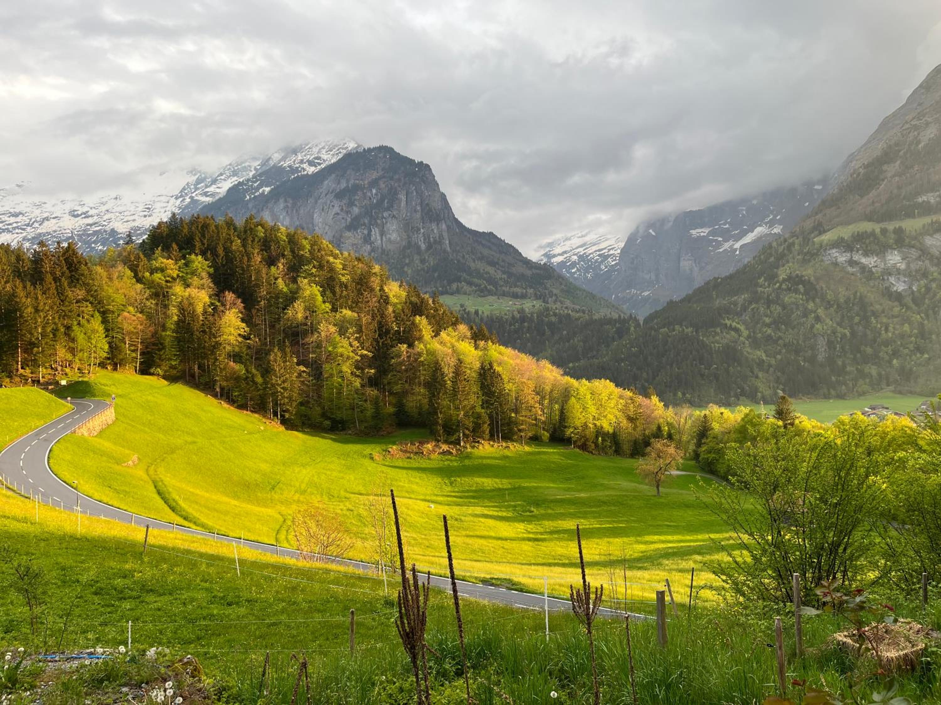Chalet ALPEN LOTUS
