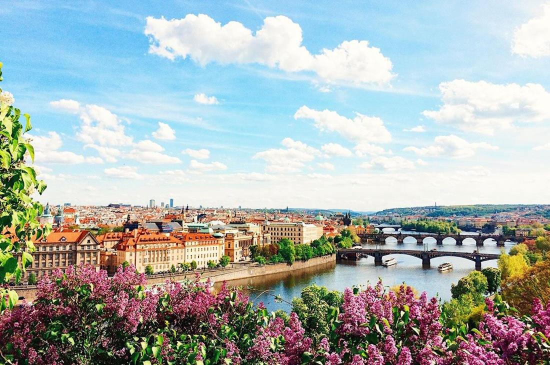 Vintage APTs in Heart of Prague by Michal&Friends