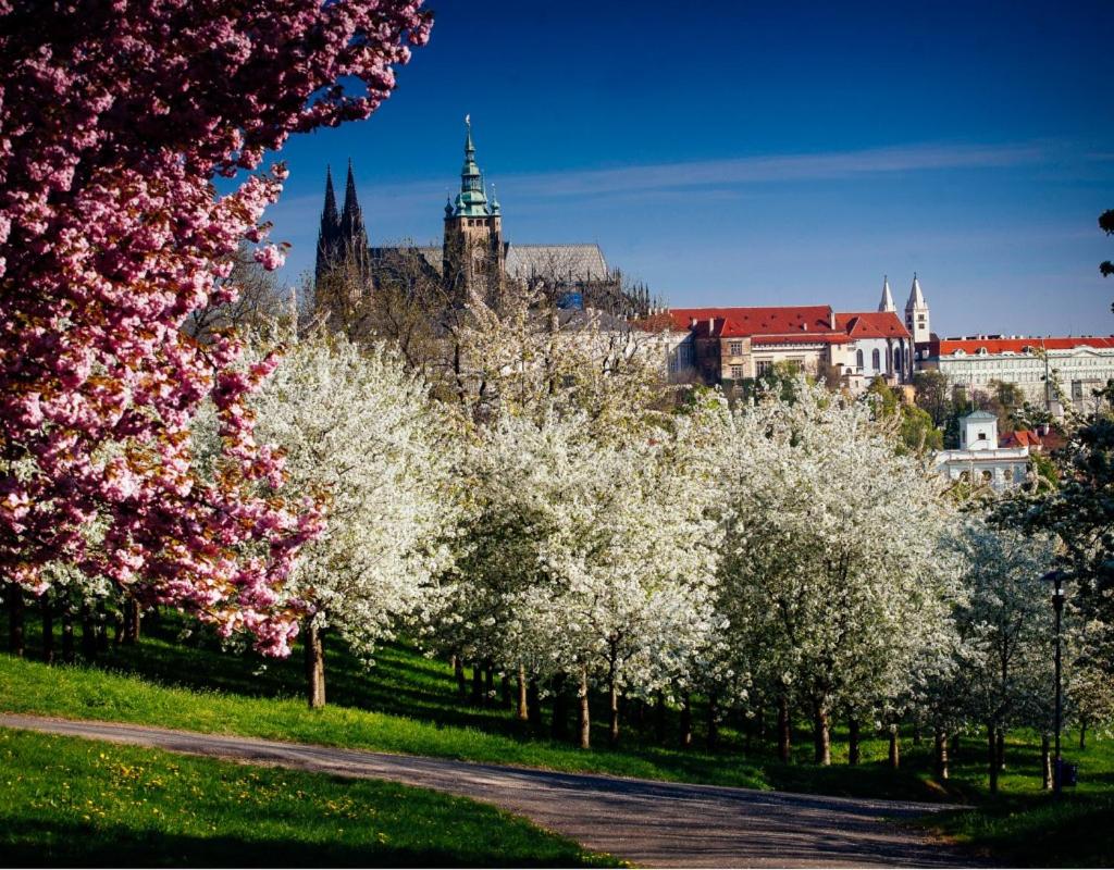 Vintage APTs in Heart of Prague by Michal&Friends