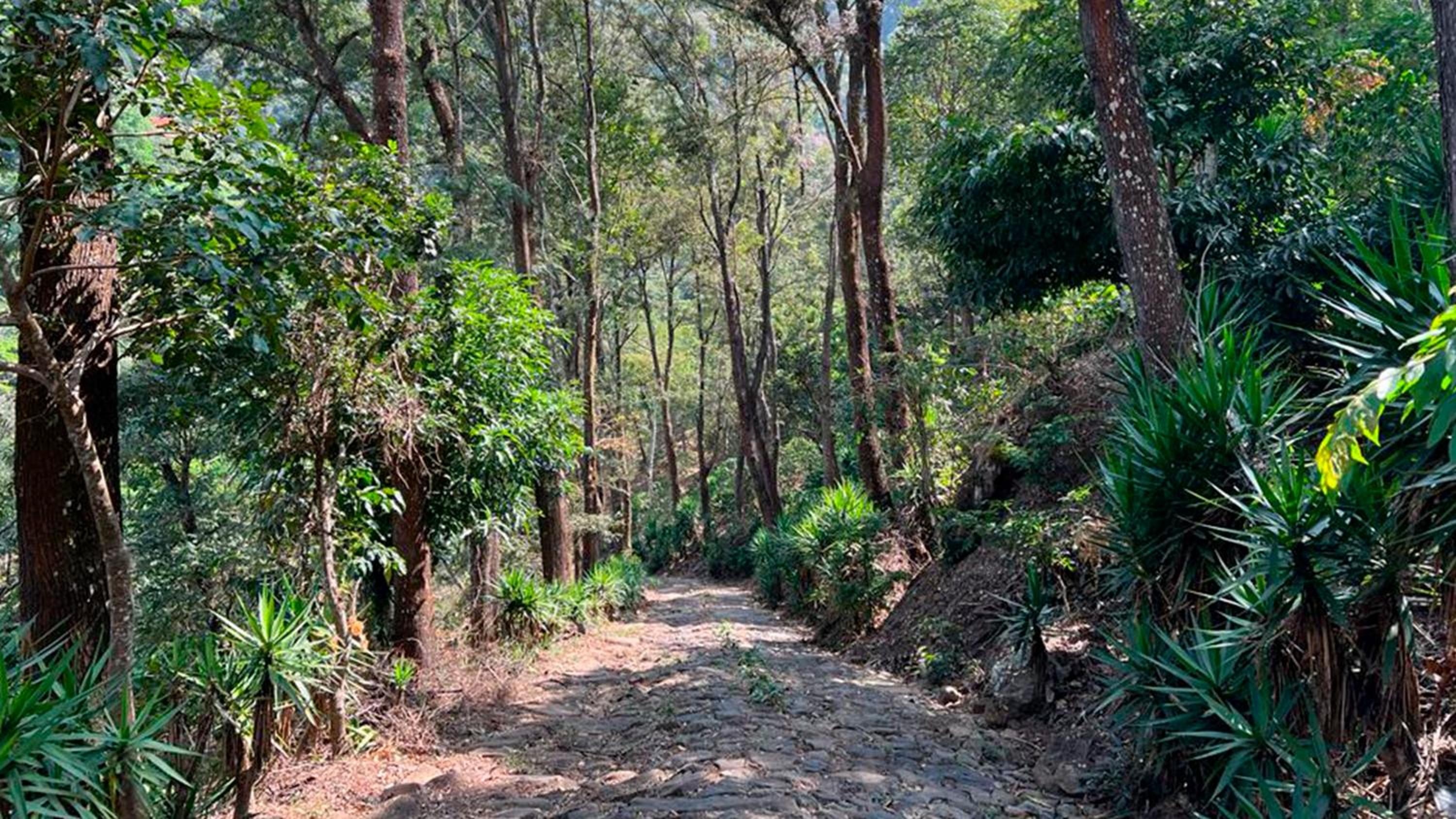 Aire de Montaña 3 - Hot Springs view 5