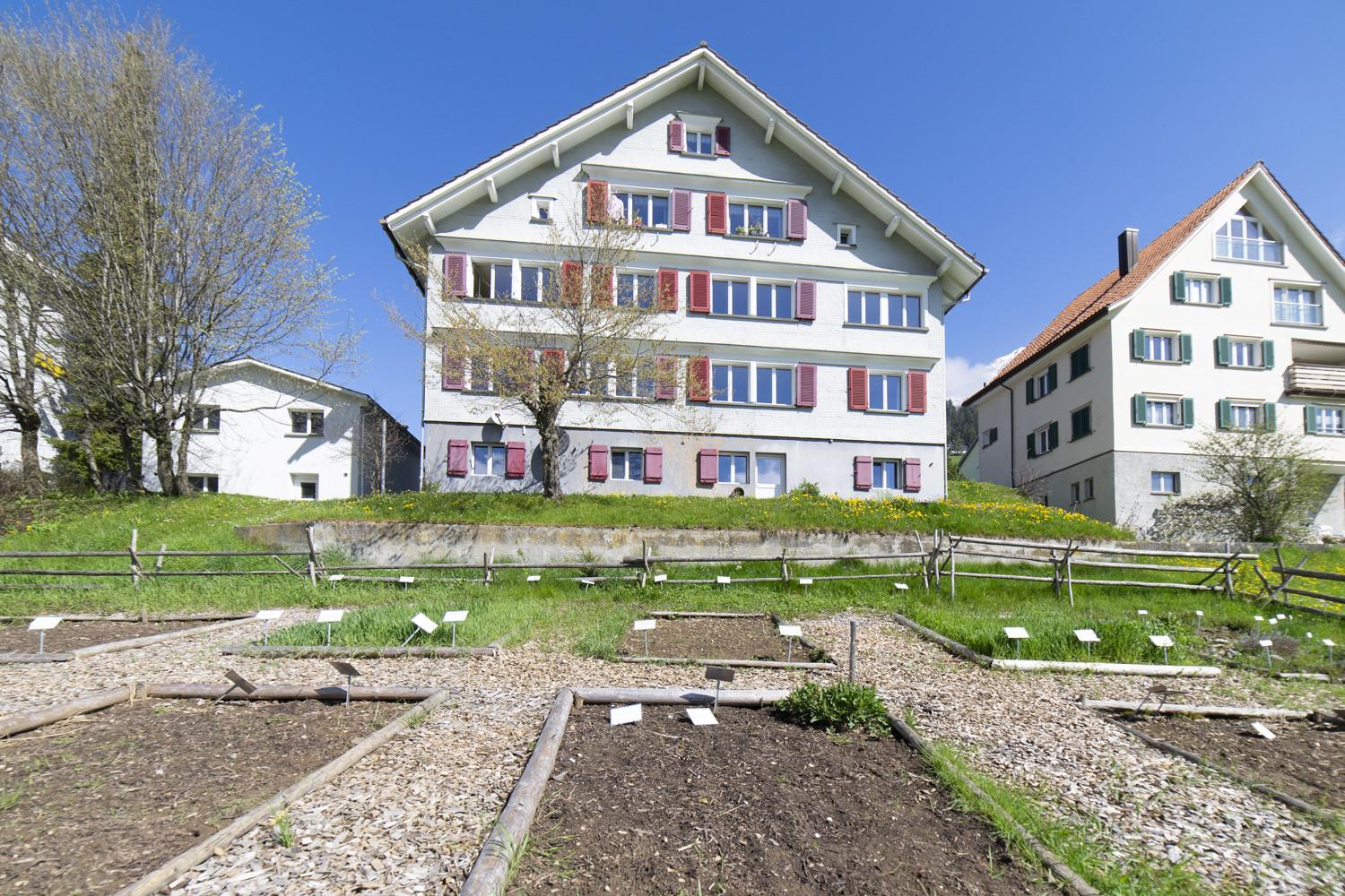 Photo 25