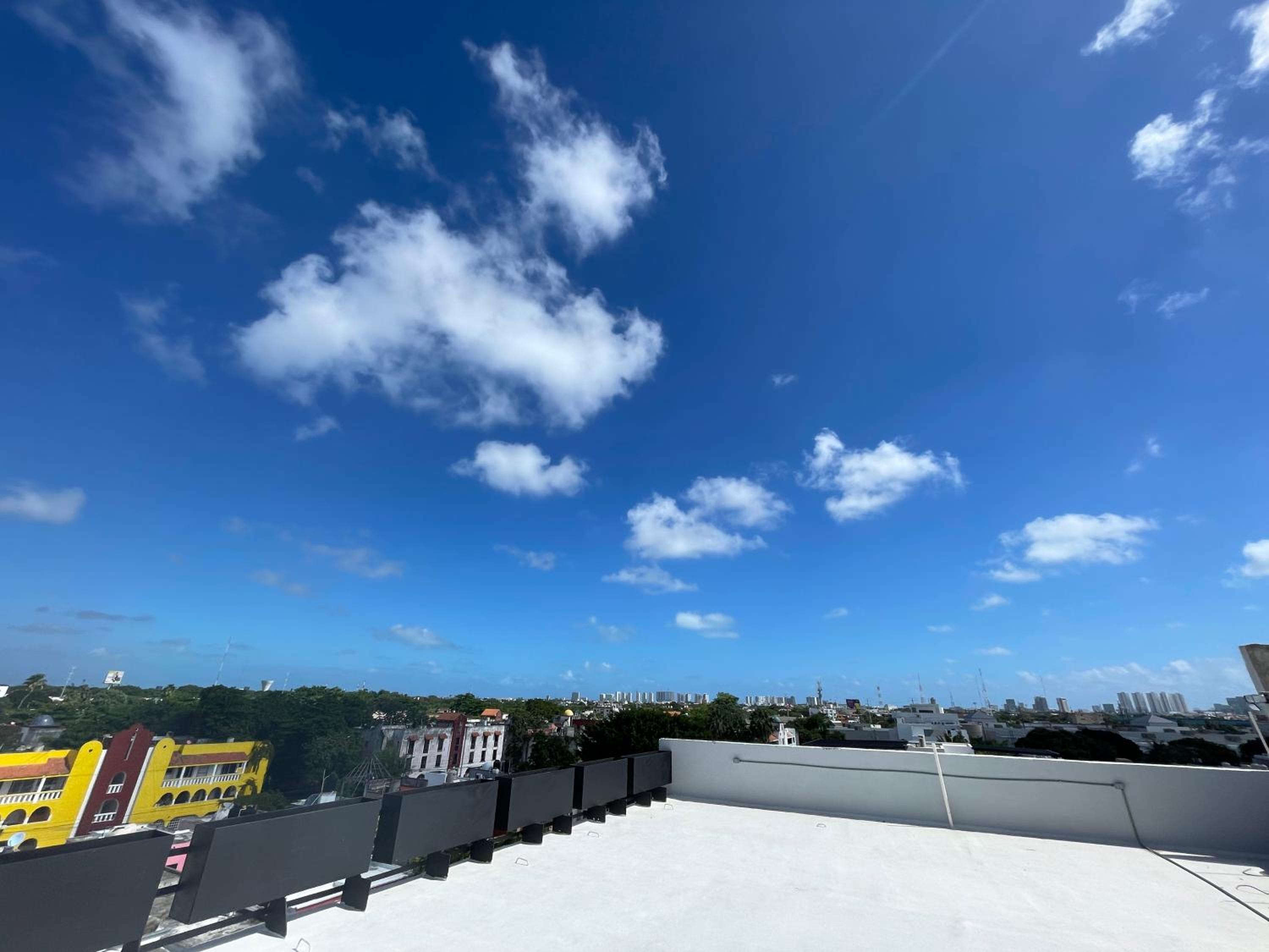 roof