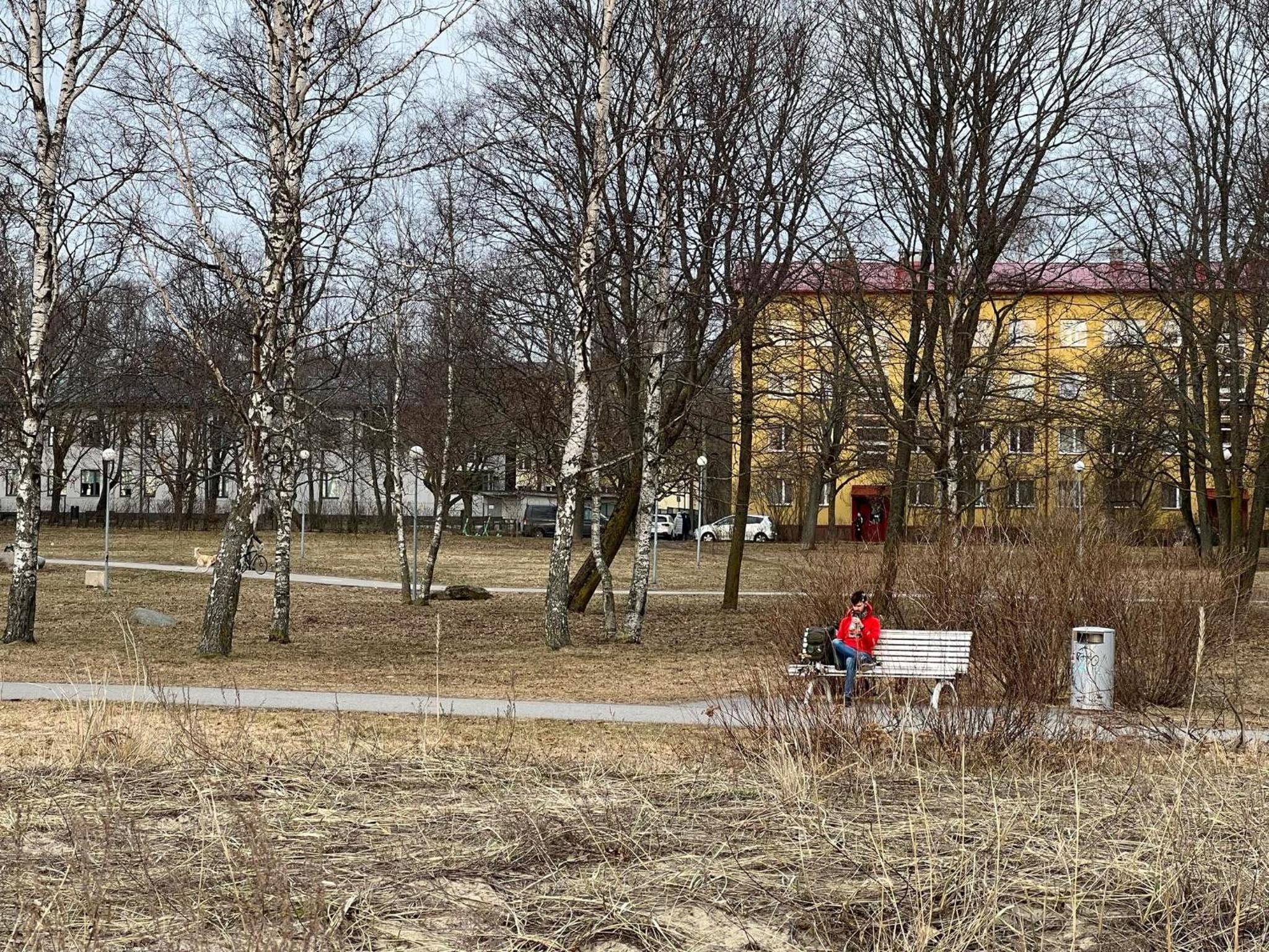 Photo 56