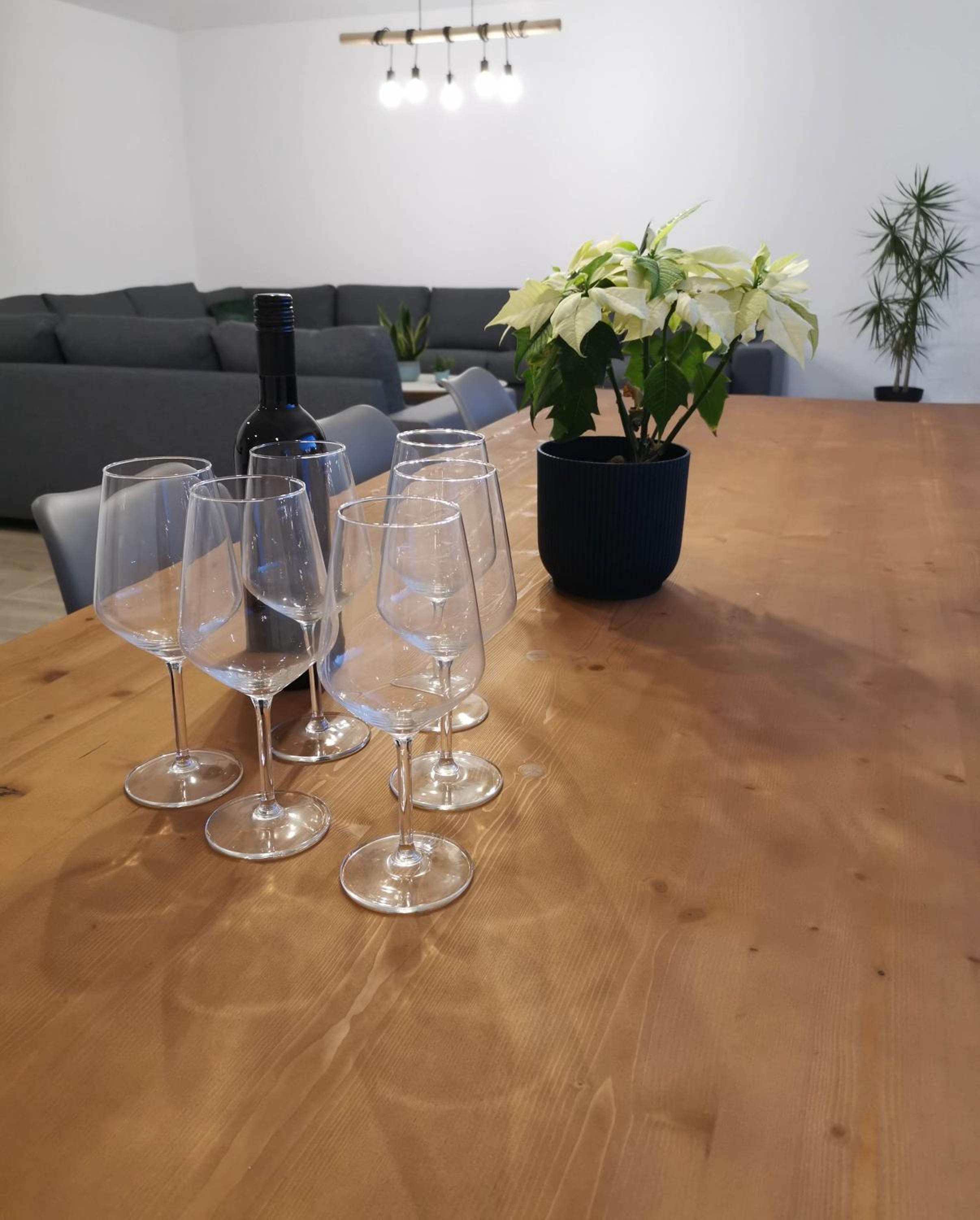 Ten Velde - vakantiewoning 12 personen - sauna - bubbelbad