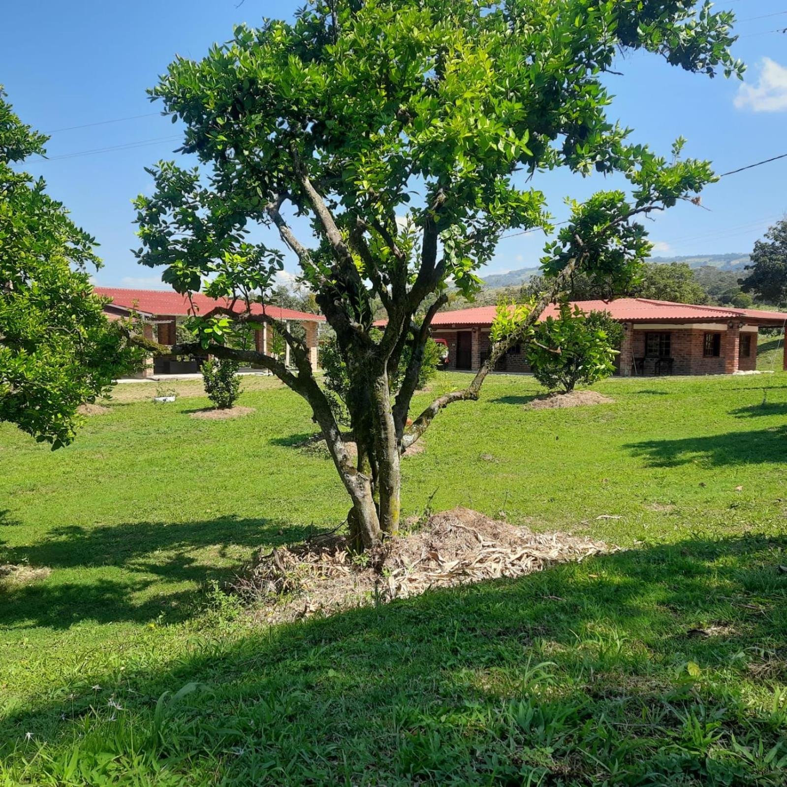 Hacienda Rosa Franca