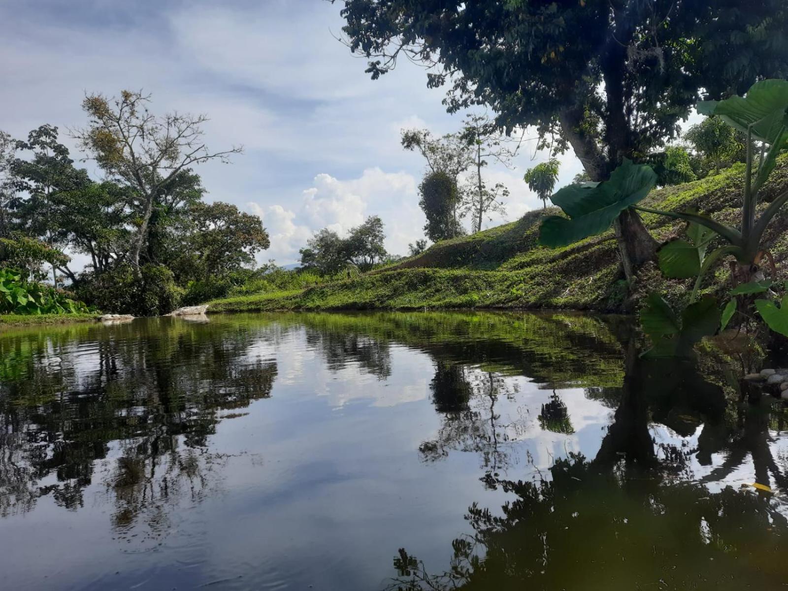 Hacienda Rosa Franca