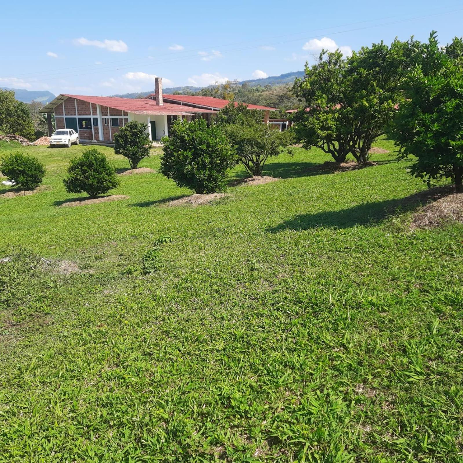 Hacienda Rosa Franca