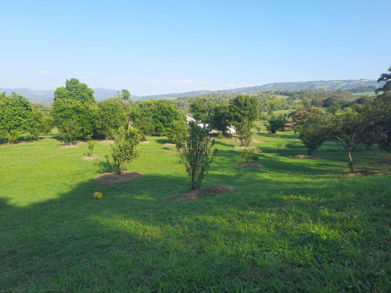 Hacienda Rosa Franca