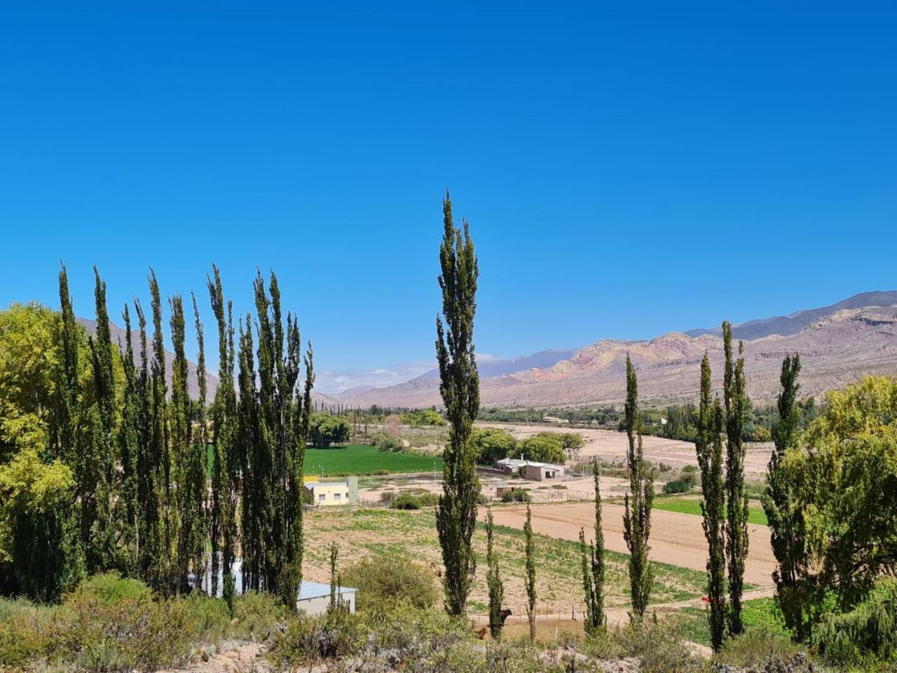 Cabaña Huacalera