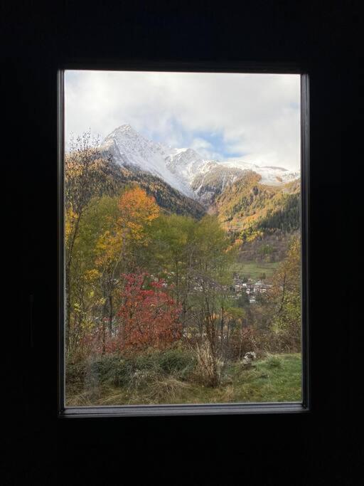 Relais Courmayeur - Fiore di bosco - Mont Blanc - Italia