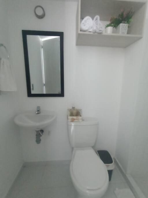Apartaestudio Armenia Norte