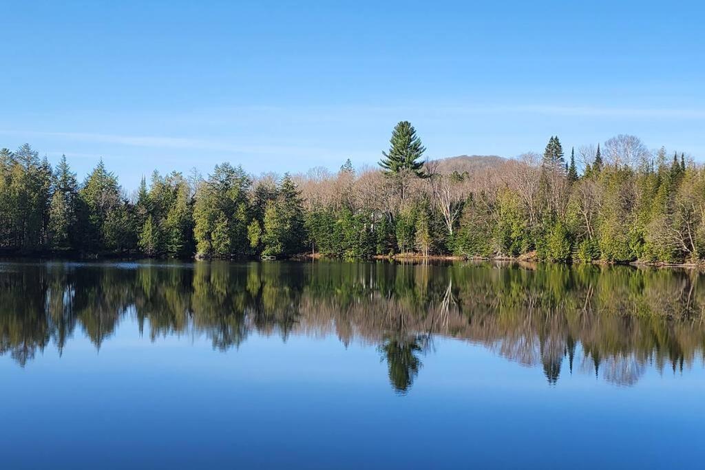 Peaceful Waterfront Getaway - Swim Fish Paddle boat Golf Hike Ski Shop