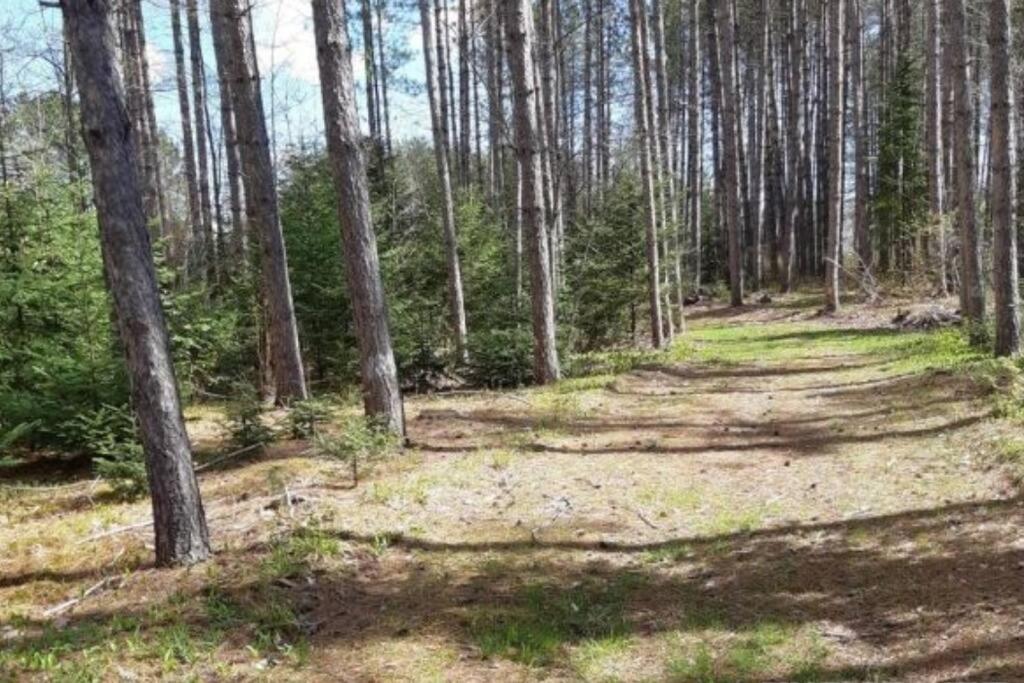 Peaceful Waterfront Getaway - Swim Fish Paddle boat Golf Hike Ski Shop