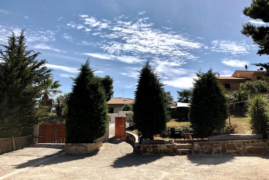 Casa Colonica Sulla Prima Collina view 5