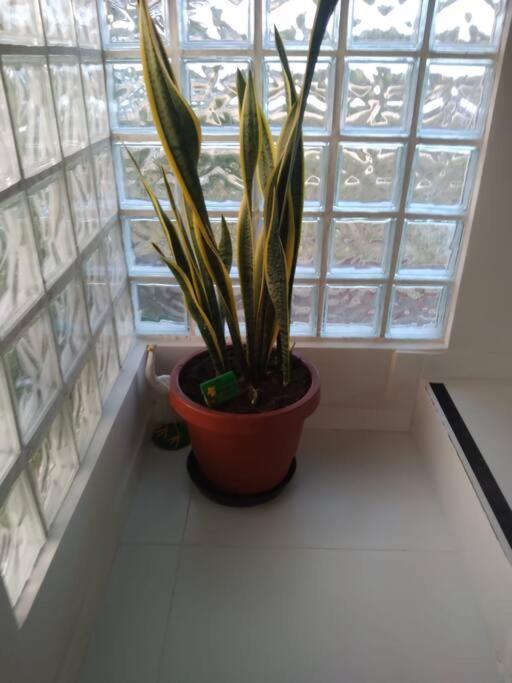 Casa duplex com terraço e vista pro mar