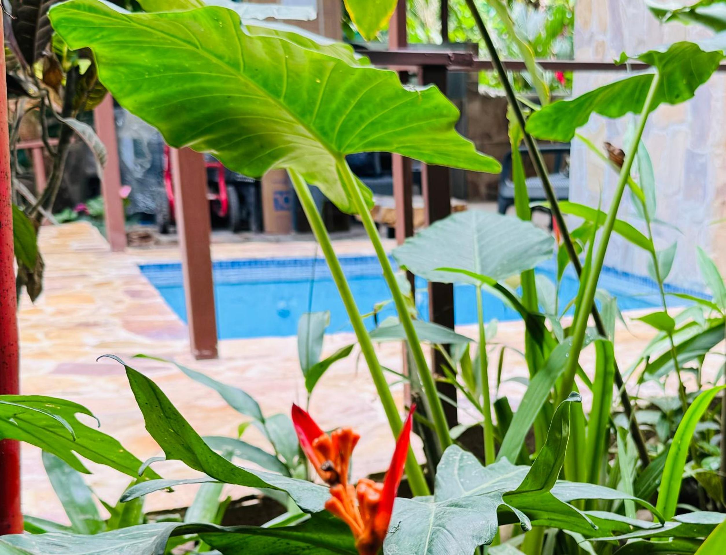 Villa Elita Cocles Jacuzzi&Pool