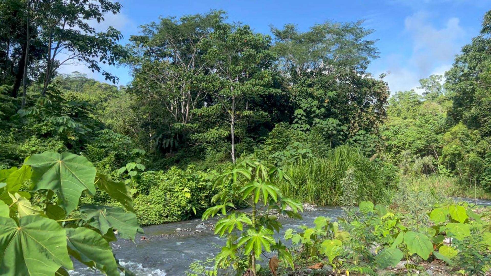 El Templo de los Guacamayos del Tigre