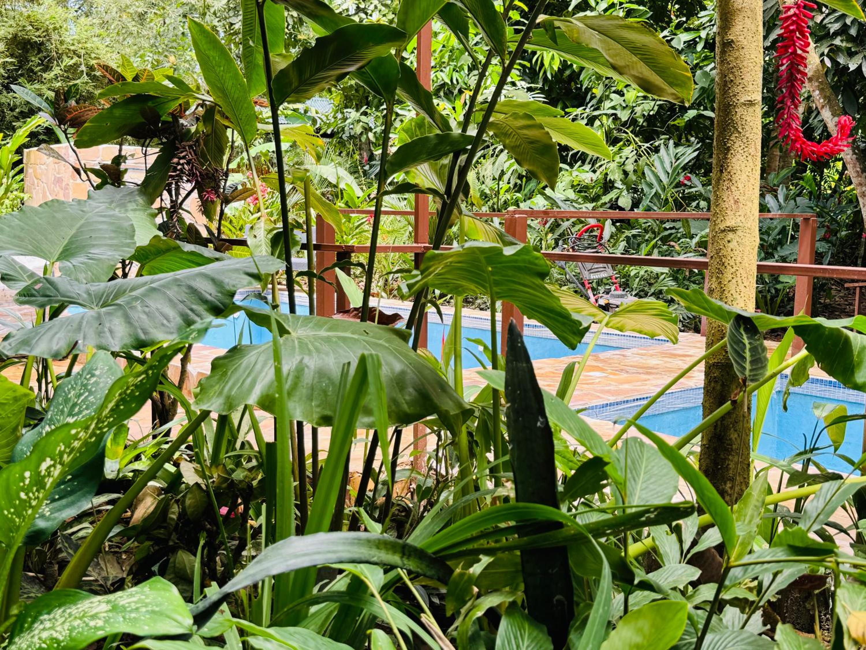 Villa Elita Cocles Jacuzzi&Pool