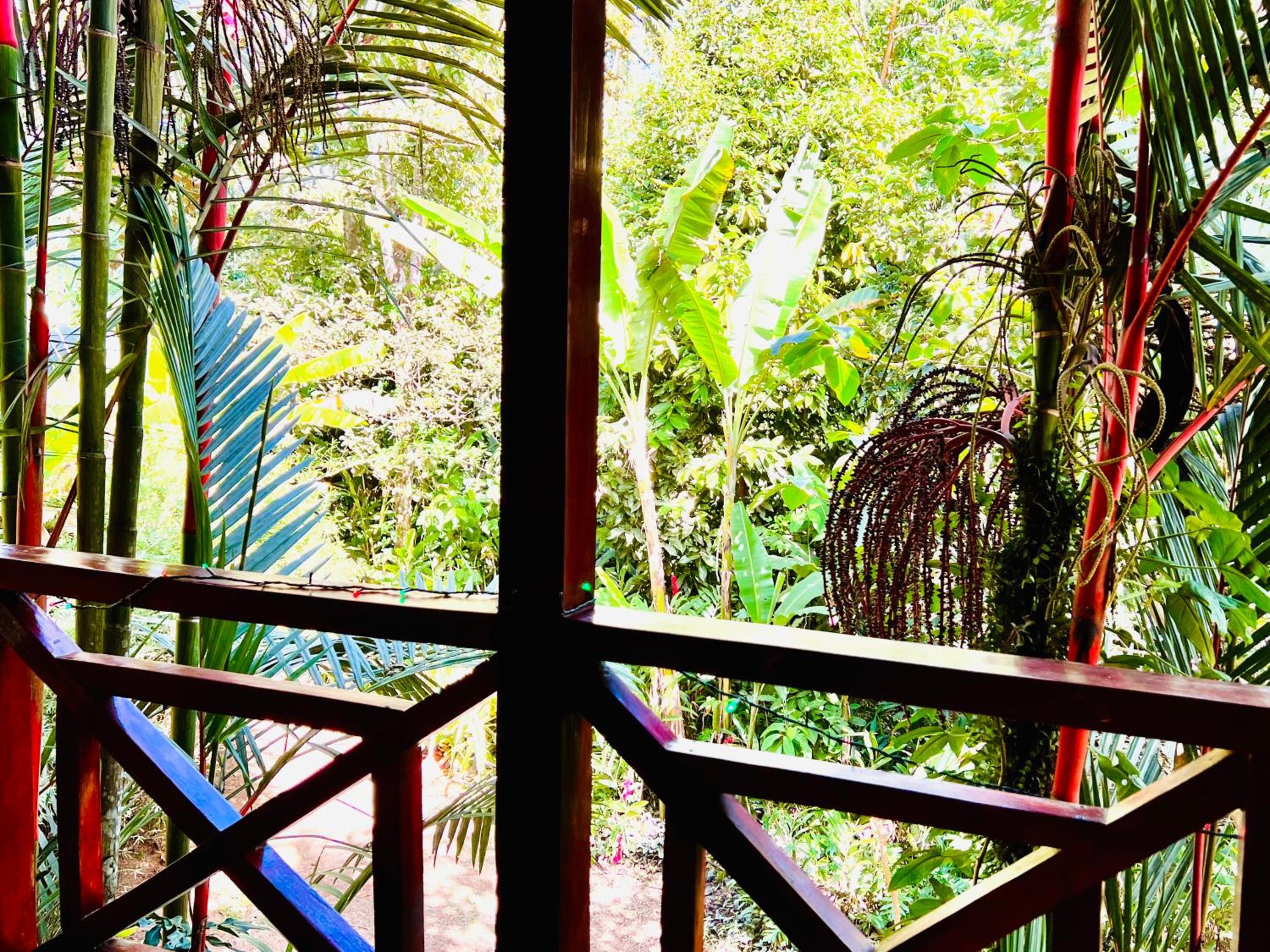 Villa Elita Cocles Jacuzzi&Pool