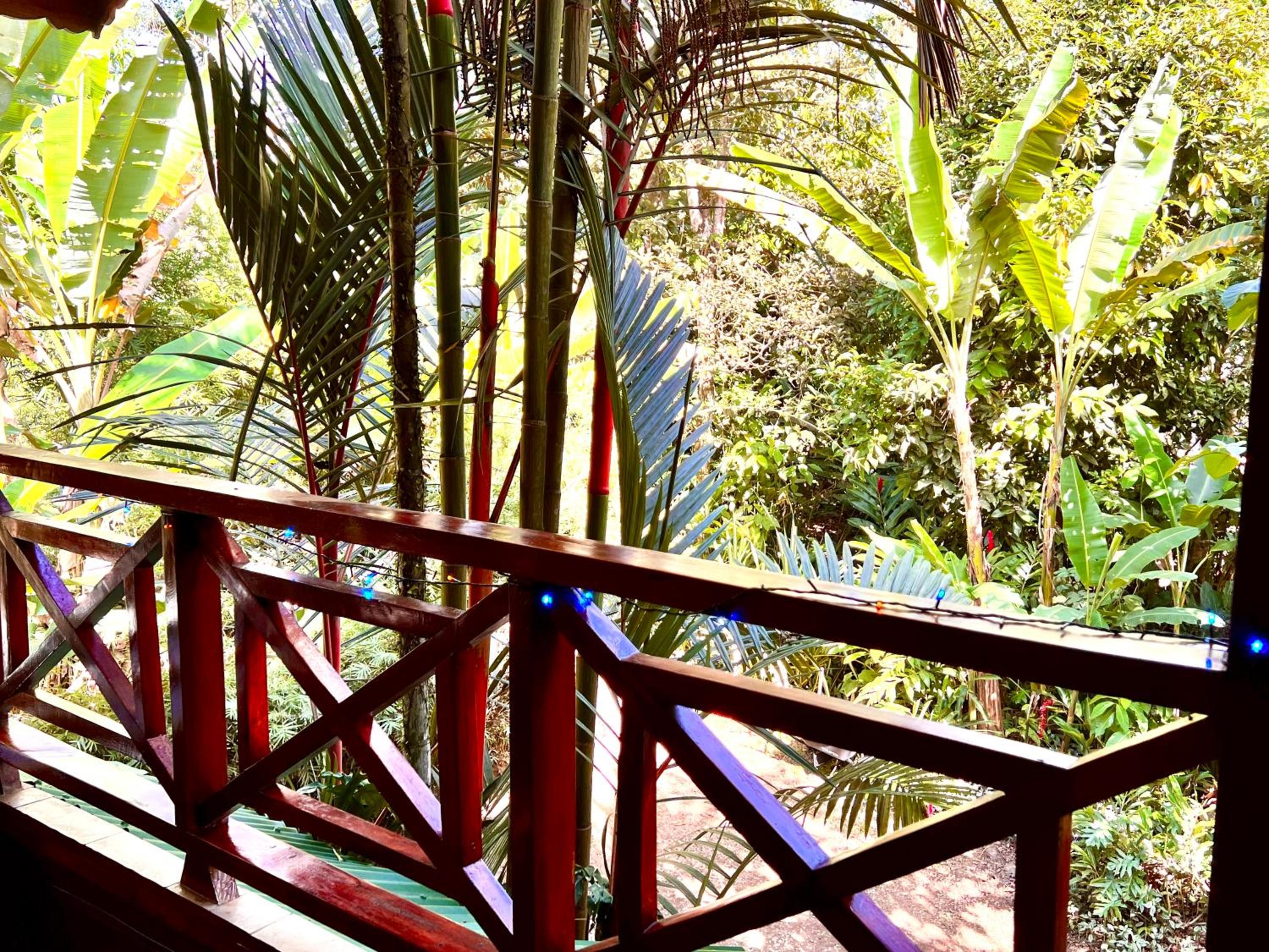 Villa Elita Cocles Jacuzzi&Pool