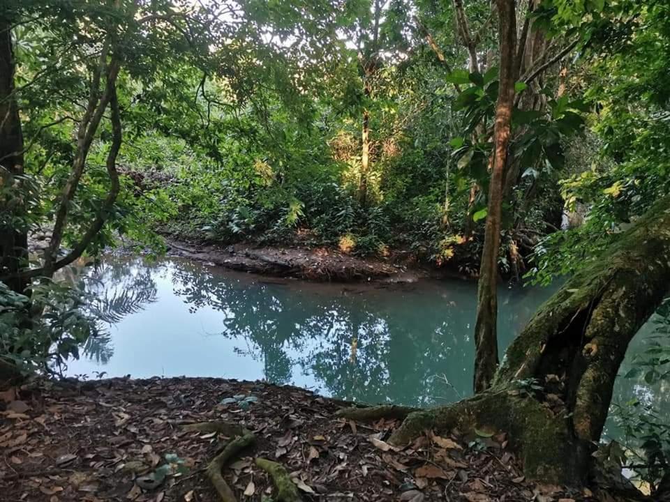 Cabinas Valle Azul