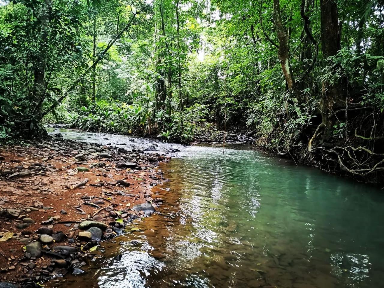 Cabinas Valle Azul