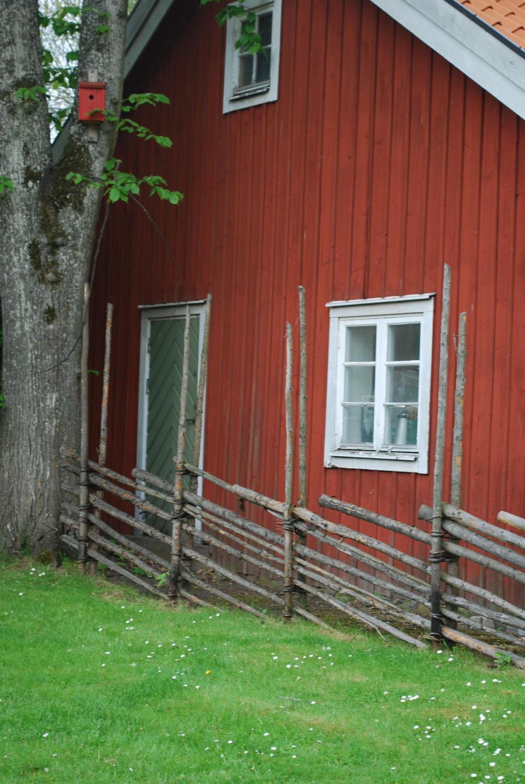 Photo 40