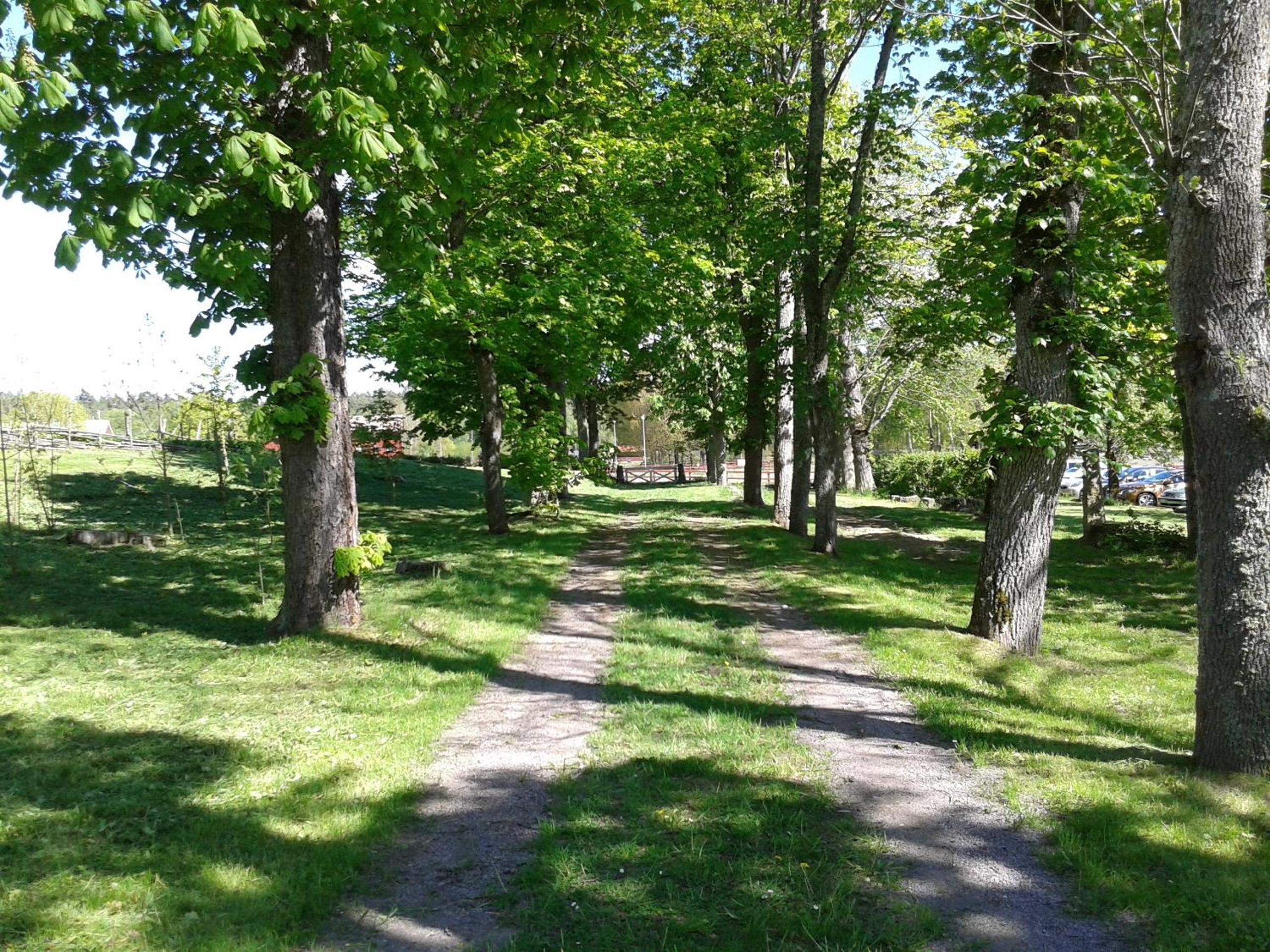 Photo 32