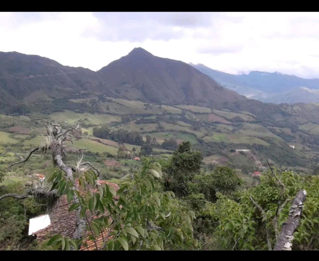 Cabañas Yunanga