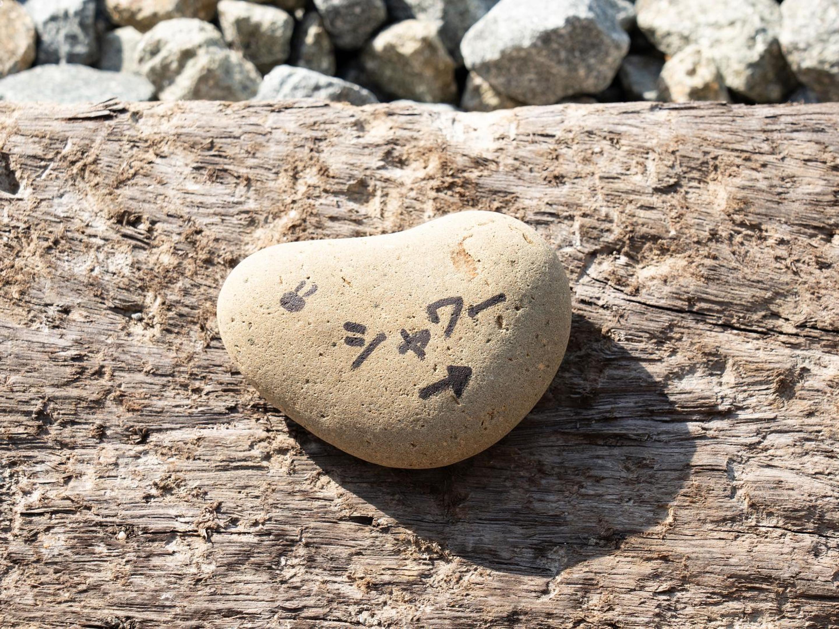 Photo 45