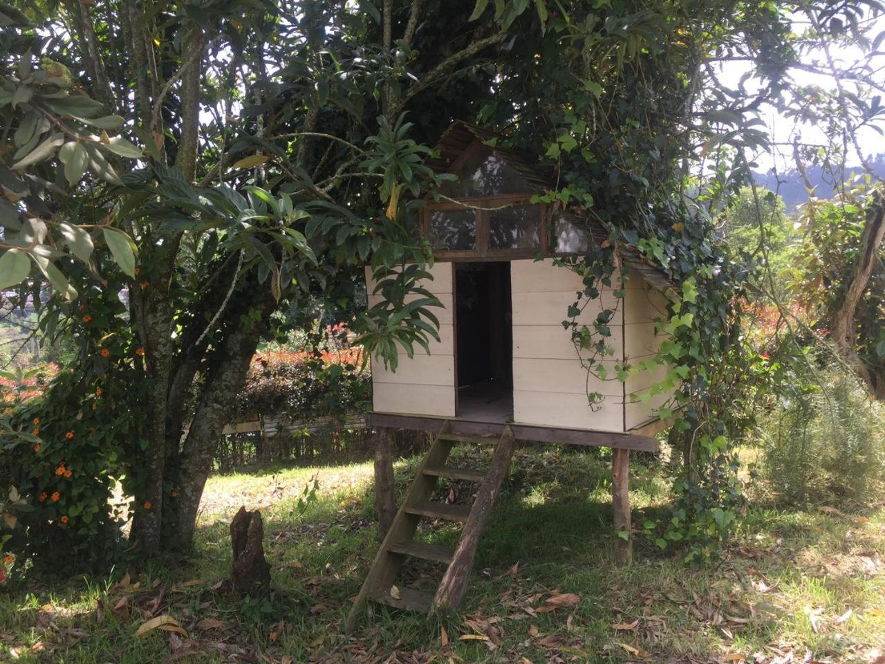 Espectacular Casa Finca en el Corazon de Santa Elena
