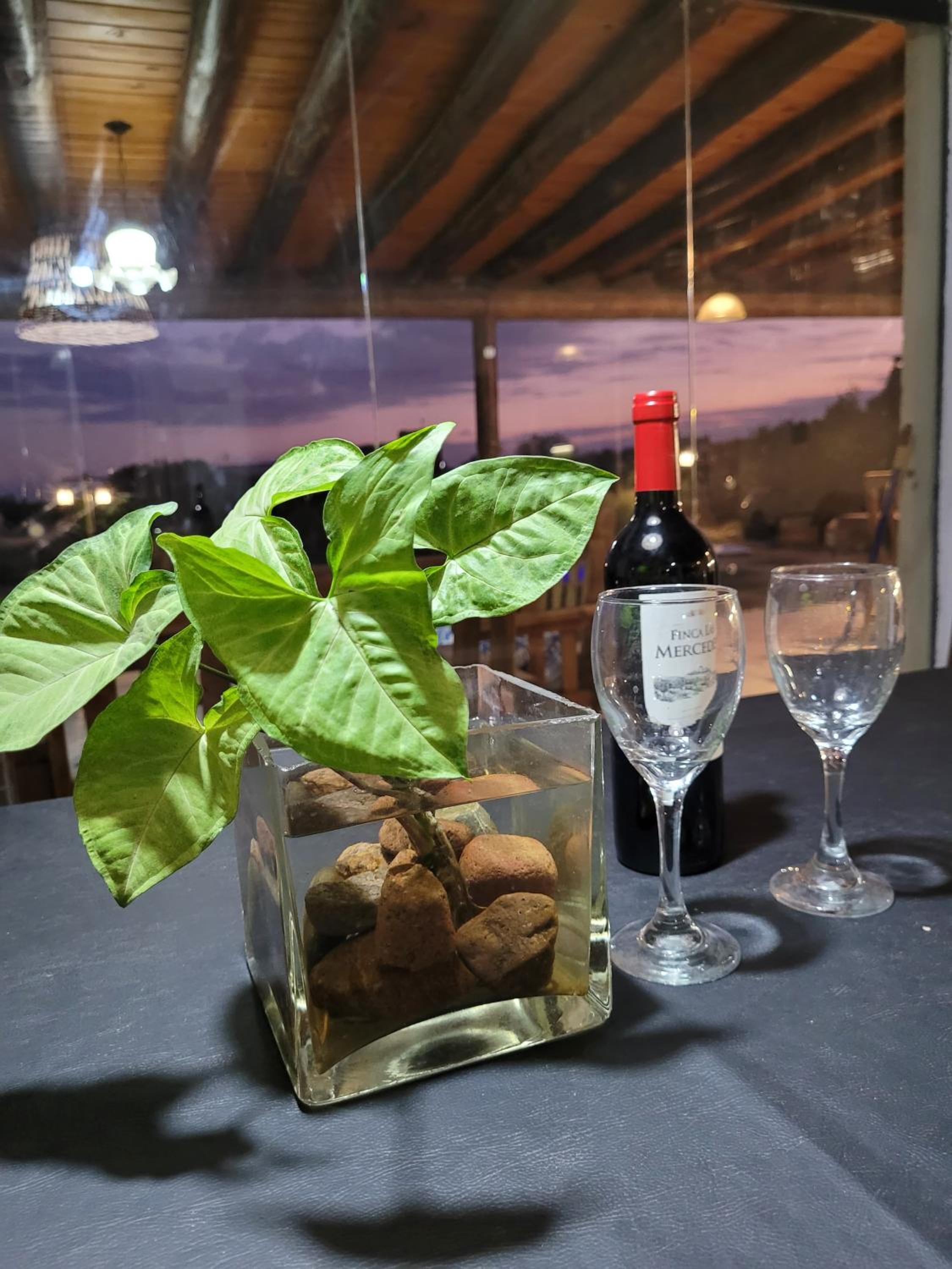 La casa de Diego. Mendoza