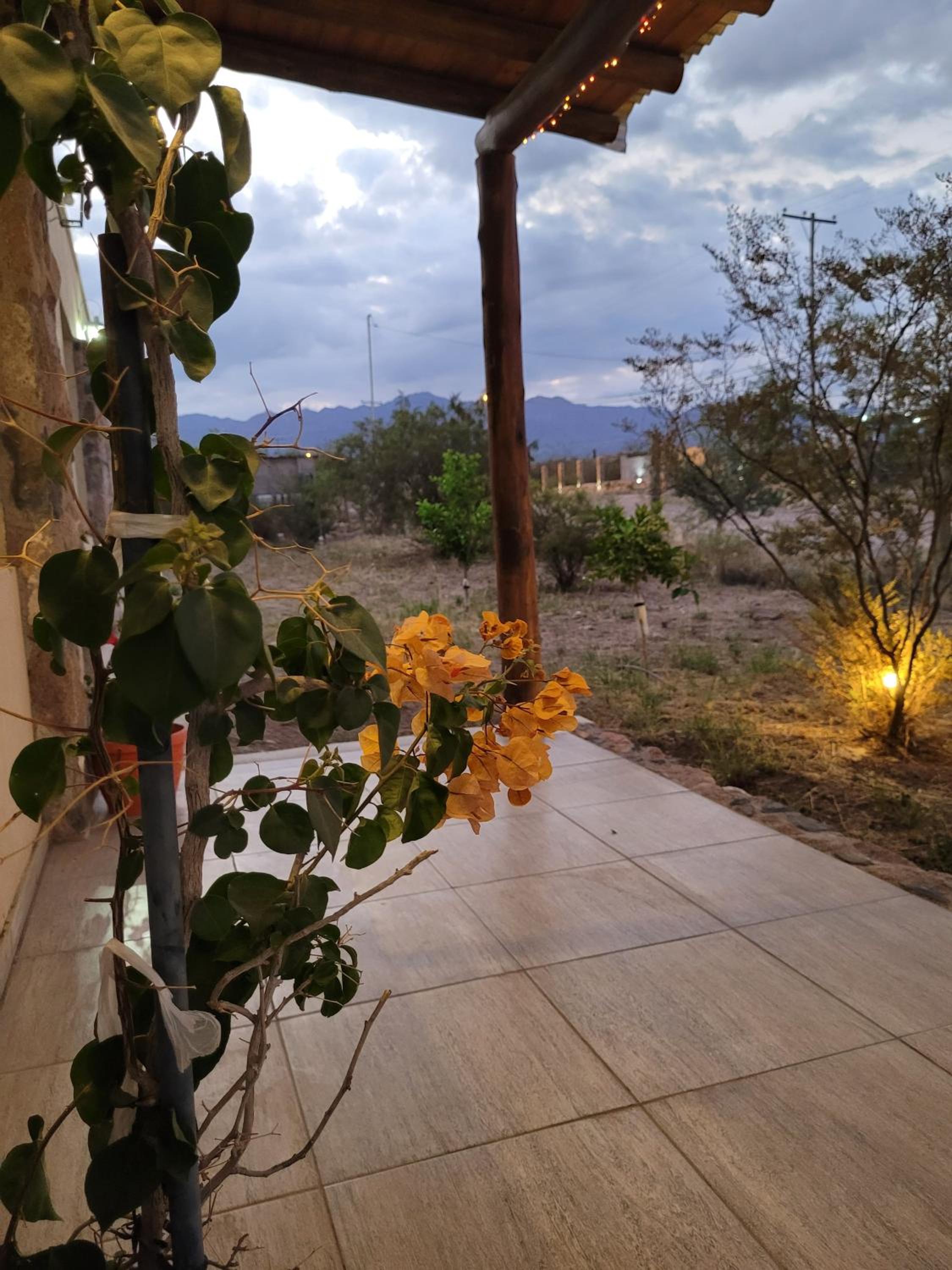 La casa de Diego. Mendoza