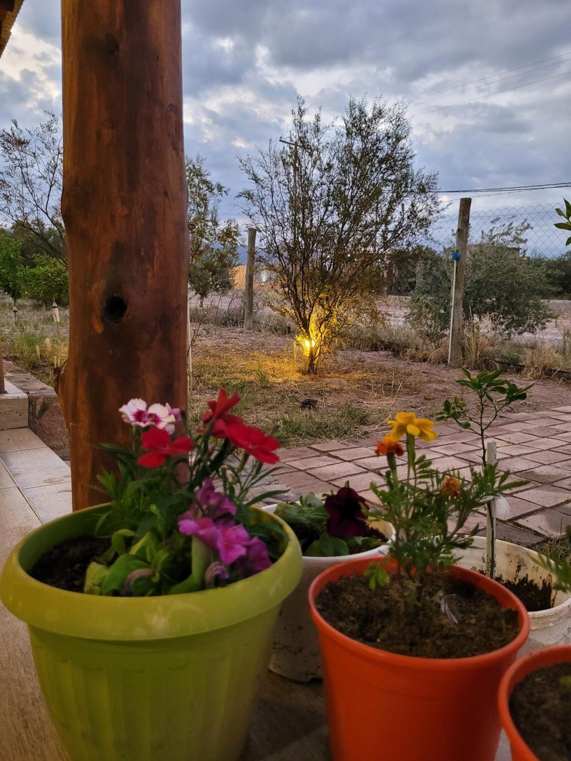 La casa de Diego. Mendoza