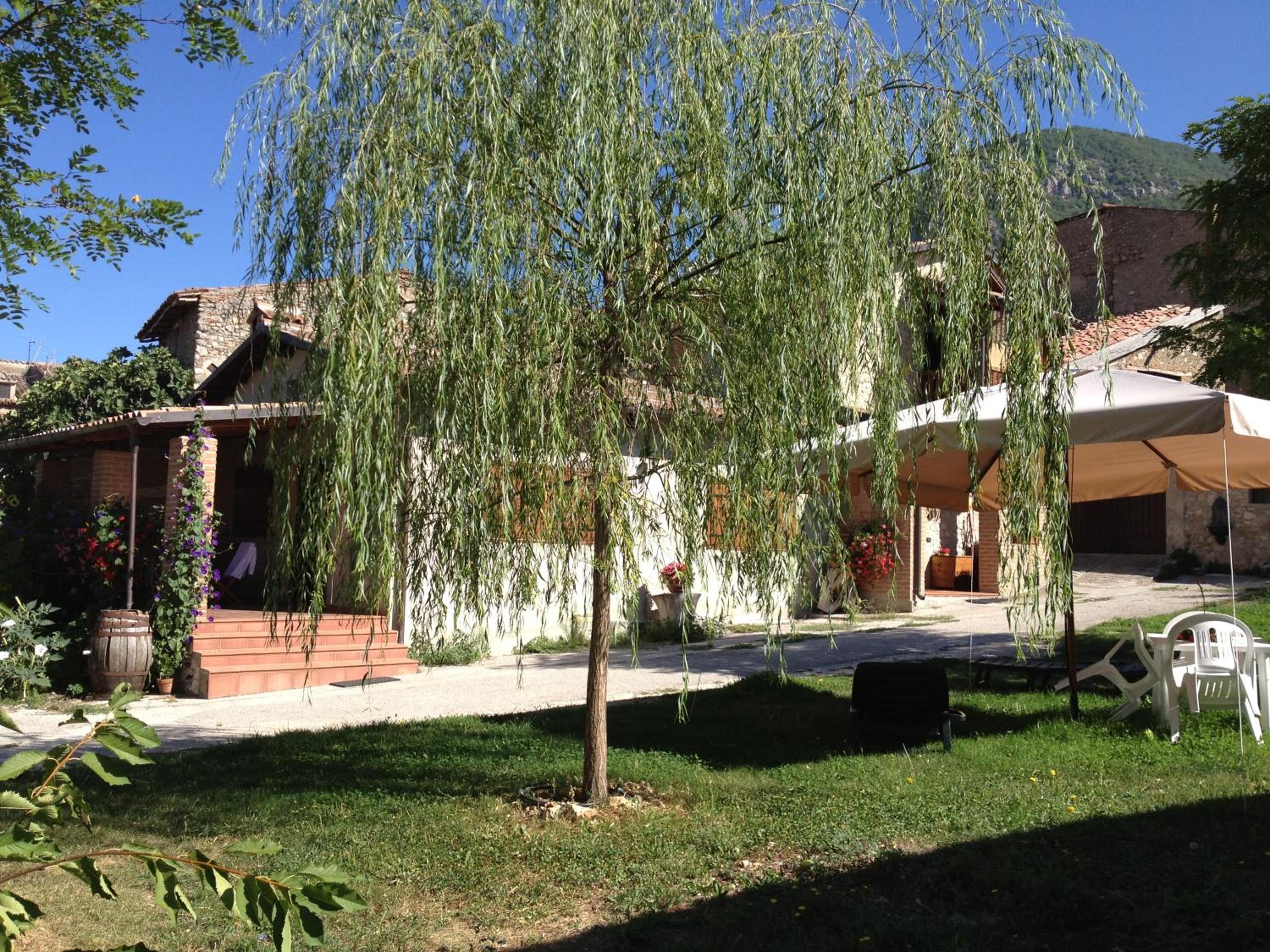 Photo 12